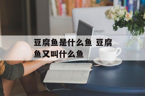 豆腐鱼是什么鱼 豆腐鱼又叫什么鱼-第1张图片-