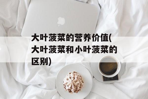 大叶菠菜的营养价值(大叶菠菜和小叶菠菜的区别)-第1张图片-