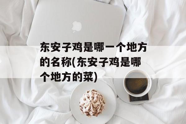 东安子鸡是哪一个地方的名称(东安子鸡是哪个地方的菜)-第1张图片-