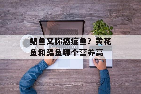 鲳鱼又称癌症鱼？黄花鱼和鲳鱼哪个营养高-第1张图片-