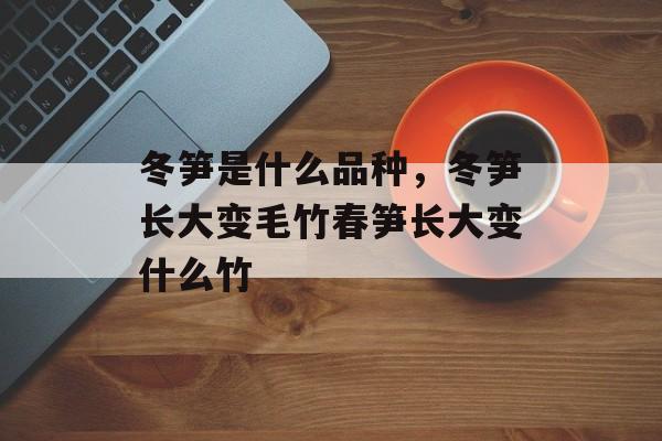 冬笋是什么品种，冬笋长大变毛竹春笋长大变什么竹-第1张图片-