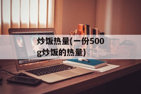 炒饭热量(一份500g炒饭的热量)-第1张图片-