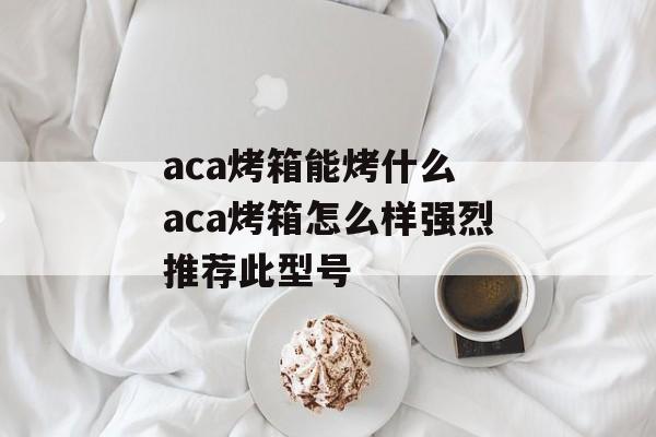 aca烤箱能烤什么 aca烤箱怎么样强烈推荐此型号-第1张图片-