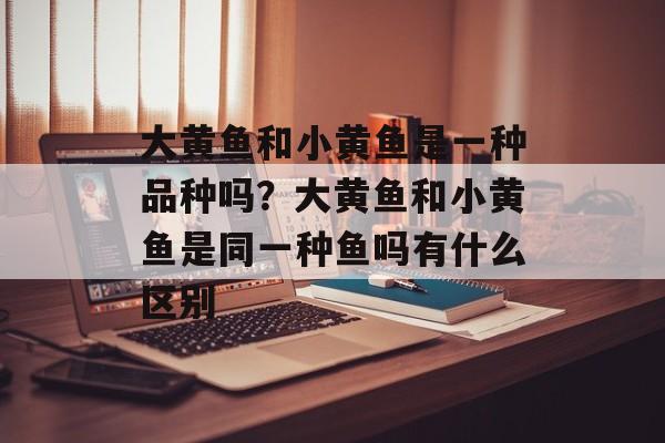 大黄鱼和小黄鱼是一种品种吗？大黄鱼和小黄鱼是同一种鱼吗有什么区别-第1张图片-