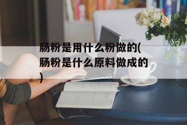 肠粉是用什么粉做的(肠粉是什么原料做成的)-第1张图片-