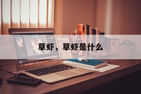 草虾，草虾是什么-第1张图片-