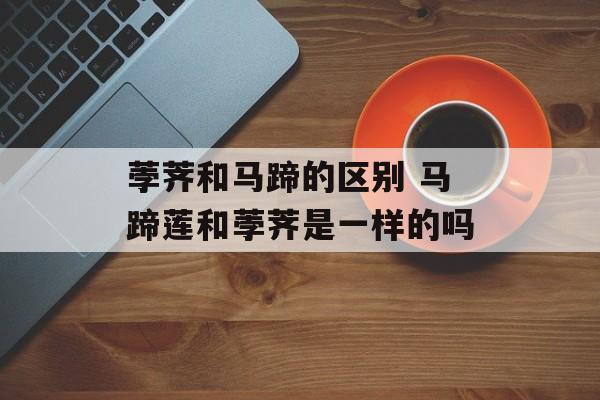 荸荠和马蹄的区别 马蹄莲和荸荠是一样的吗-第1张图片-
