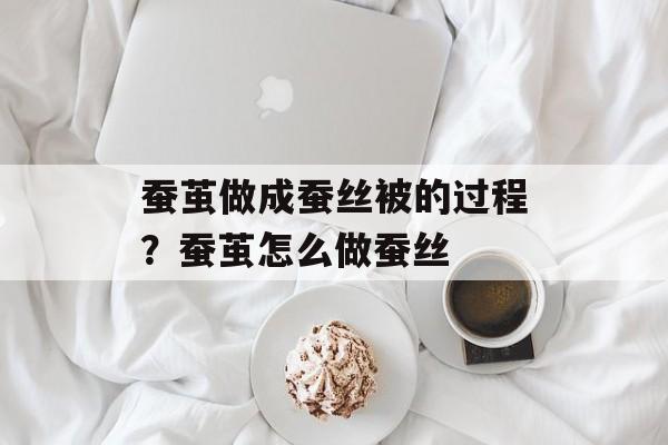 蚕茧做成蚕丝被的过程？蚕茧怎么做蚕丝-第1张图片-