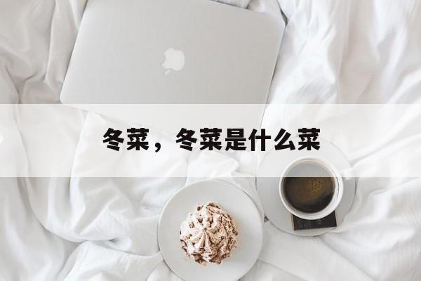 冬菜，冬菜是什么菜-第1张图片-