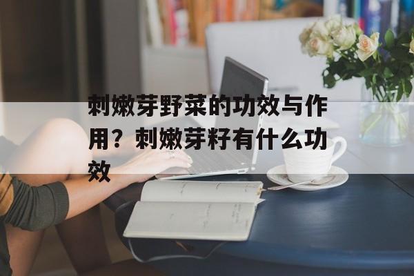 刺嫩芽野菜的功效与作用？刺嫩芽籽有什么功效-第1张图片-