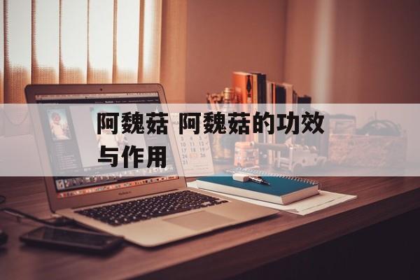 阿魏菇 阿魏菇的功效与作用-第1张图片-