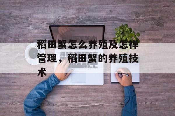 稻田蟹怎么养殖及怎样管理，稻田蟹的养殖技术-第1张图片-