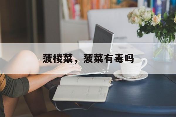 菠棱菜，菠菜有毒吗-第1张图片-