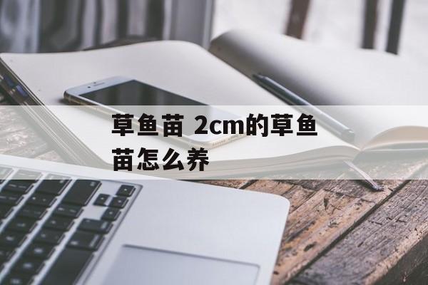 草鱼苗 2cm的草鱼苗怎么养-第1张图片-