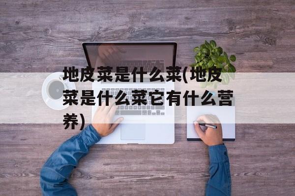 地皮菜是什么菜(地皮菜是什么菜它有什么营养)-第1张图片-