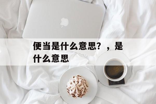 便当是什么意思？，是什么意思-第1张图片-