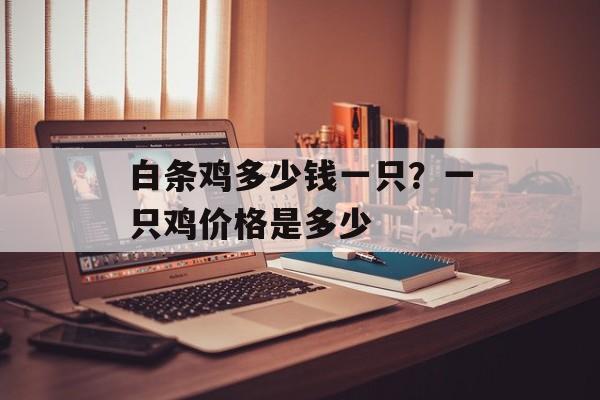 白条鸡多少钱一只？一只鸡价格是多少-第1张图片-