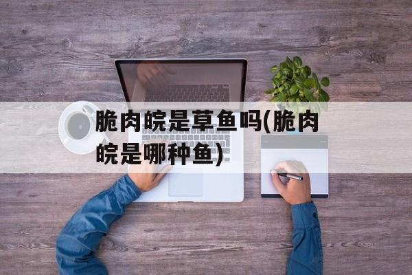 脆肉皖是草鱼吗(脆肉皖是哪种鱼)-第1张图片-
