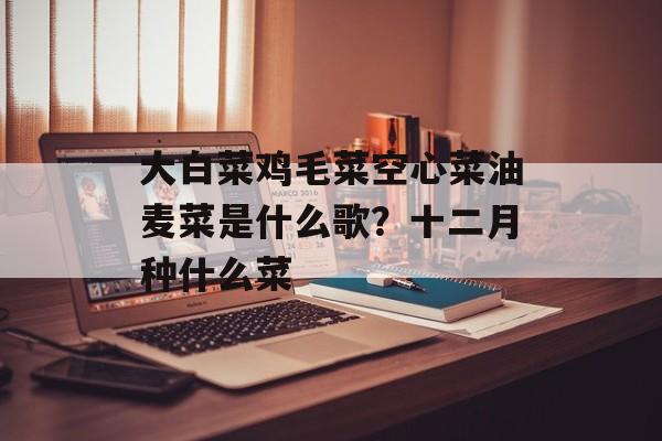 大白菜鸡毛菜空心菜油麦菜是什么歌？十二月种什么菜-第1张图片-