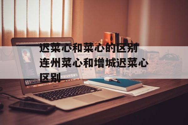 迟菜心和菜心的区别 连州菜心和增城迟菜心区别-第1张图片-