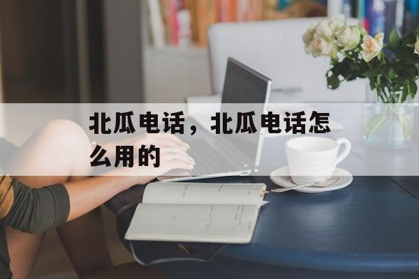 北瓜电话，北瓜电话怎么用的-第1张图片-