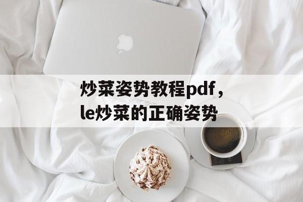 炒菜姿势教程pdf，le炒菜的正确姿势-第1张图片-