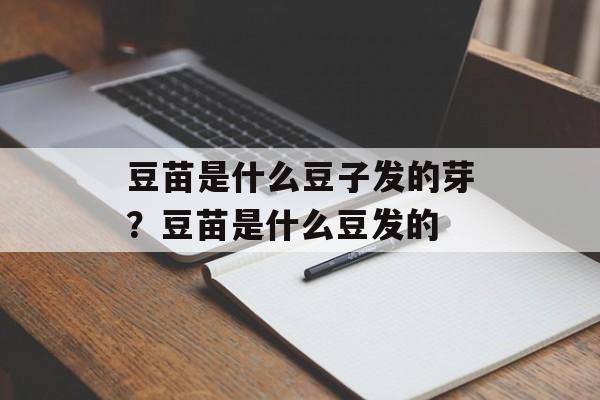 豆苗是什么豆子发的芽？豆苗是什么豆发的-第1张图片-