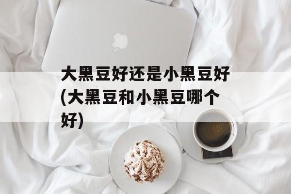 大黑豆好还是小黑豆好(大黑豆和小黑豆哪个好)-第1张图片-
