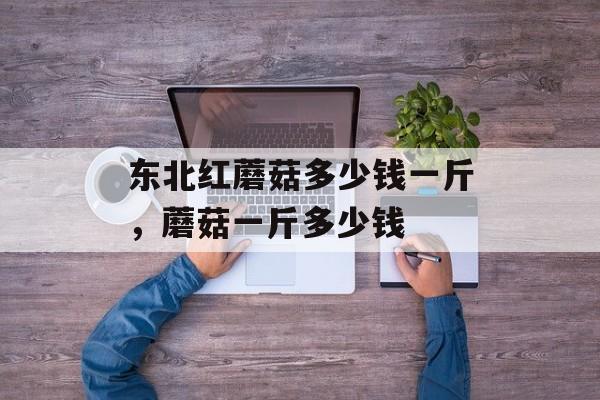 东北红蘑菇多少钱一斤，蘑菇一斤多少钱-第1张图片-