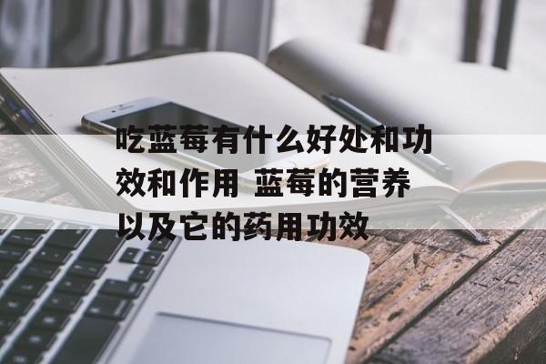 吃蓝莓有什么好处和功效和作用 蓝莓的营养以及它的药用功效-第1张图片-