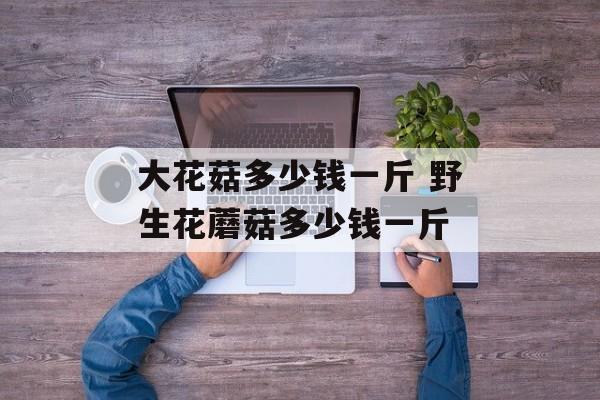 大花菇多少钱一斤 野生花蘑菇多少钱一斤-第1张图片-
