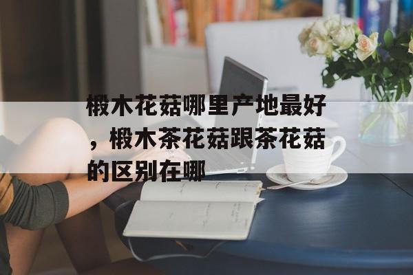 椴木花菇哪里产地最好，椴木茶花菇跟茶花菇的区别在哪-第1张图片-