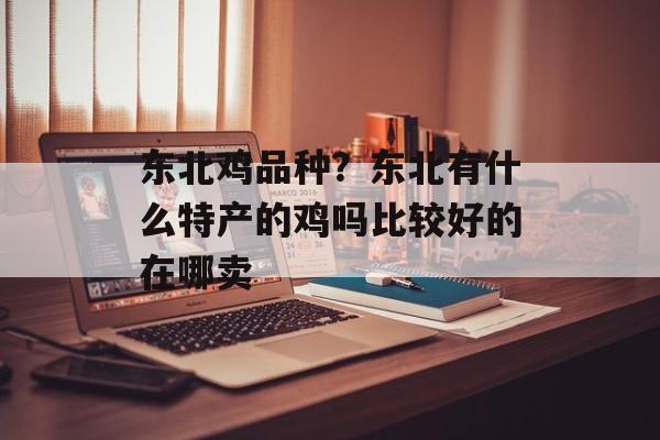 东北鸡品种？东北有什么特产的鸡吗比较好的在哪卖-第1张图片-