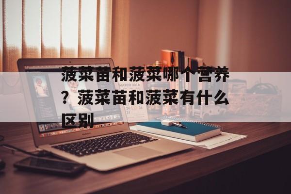 菠菜苗和菠菜哪个营养？菠菜苗和菠菜有什么区别-第1张图片-