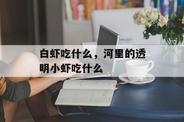 白虾吃什么，河里的透明小虾吃什么-第1张图片-