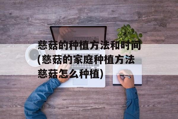 慈菇的种植方法和时间(慈菇的家庭种植方法慈菇怎么种植)-第1张图片-