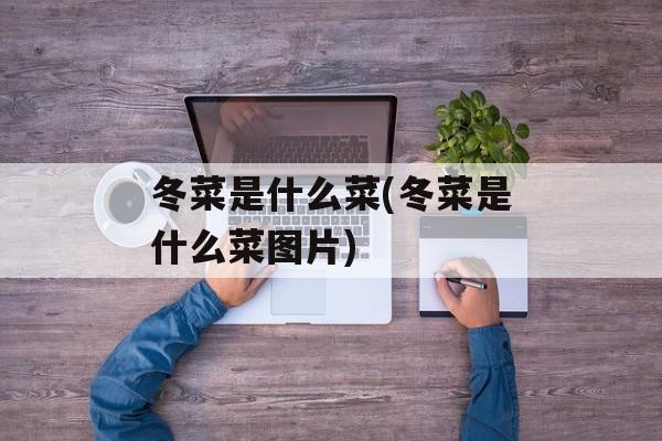 冬菜是什么菜(冬菜是什么菜图片)-第1张图片-