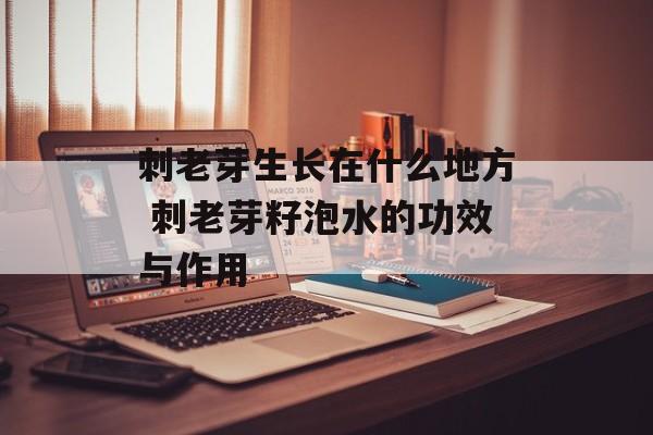 刺老芽生长在什么地方 刺老芽籽泡水的功效与作用-第1张图片-