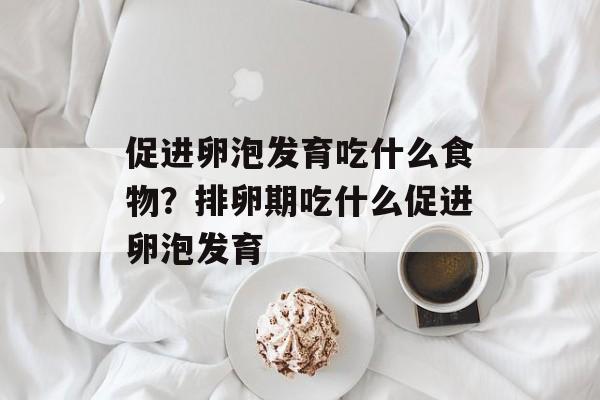 促进卵泡发育吃什么食物？排卵期吃什么促进卵泡发育-第1张图片-