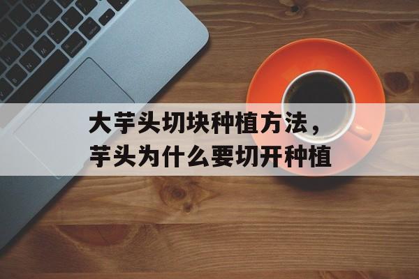 大芋头切块种植方法，芋头为什么要切开种植-第1张图片-