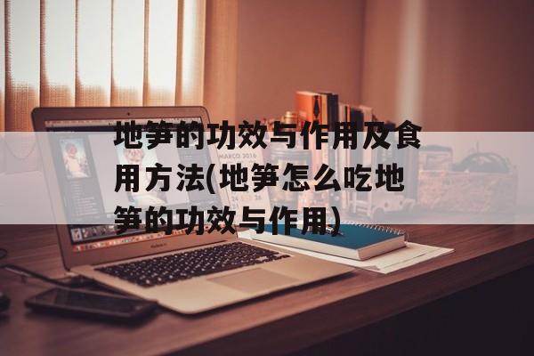 地笋的功效与作用及食用方法(地笋怎么吃地笋的功效与作用)-第1张图片-