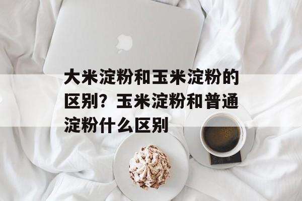 大米淀粉和玉米淀粉的区别？玉米淀粉和普通淀粉什么区别-第1张图片-