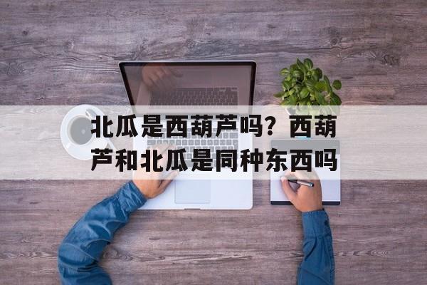 北瓜是西葫芦吗？西葫芦和北瓜是同种东西吗-第1张图片-