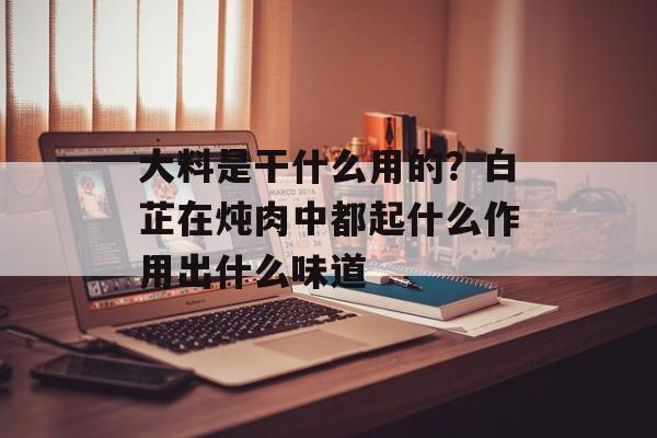 大料是干什么用的？白芷在炖肉中都起什么作用出什么味道-第1张图片-
