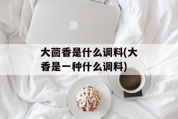 大茴香是什么调料(大香是一种什么调料)-第1张图片-