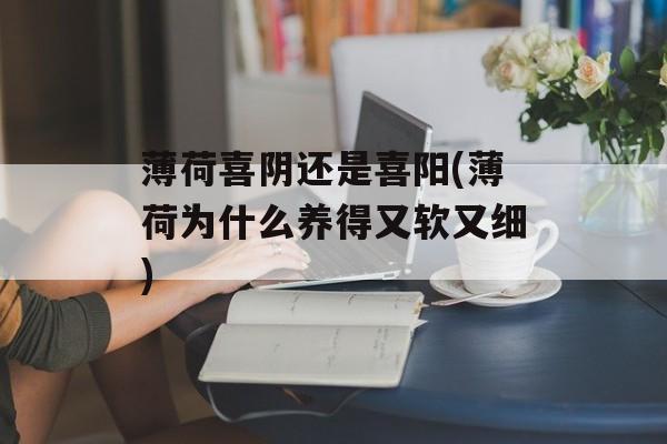 薄荷喜阴还是喜阳(薄荷为什么养得又软又细)-第1张图片-