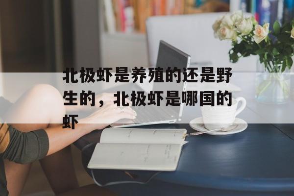 北极虾是养殖的还是野生的，北极虾是哪国的虾-第1张图片-