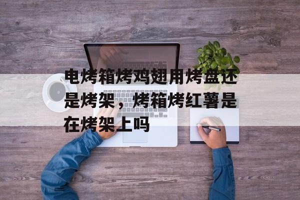 电烤箱烤鸡翅用烤盘还是烤架，烤箱烤红薯是在烤架上吗-第1张图片-