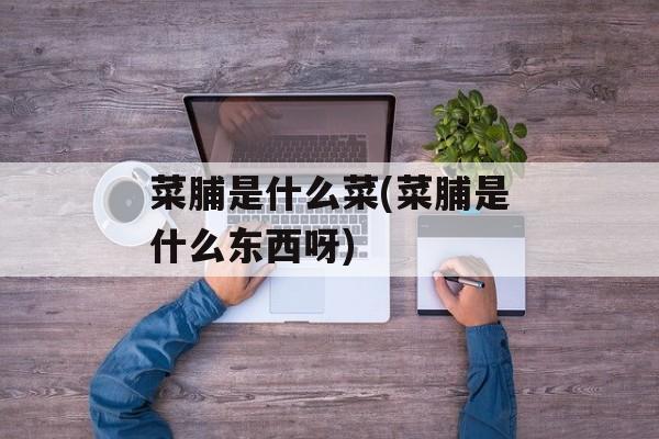 菜脯是什么菜(菜脯是什么东西呀)-第1张图片-