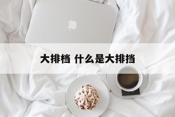 大排档 什么是大排挡-第1张图片-